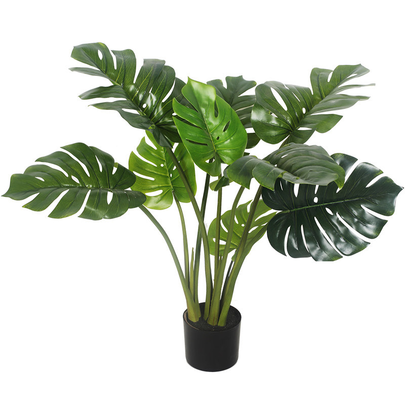   空之间生植物盆栽