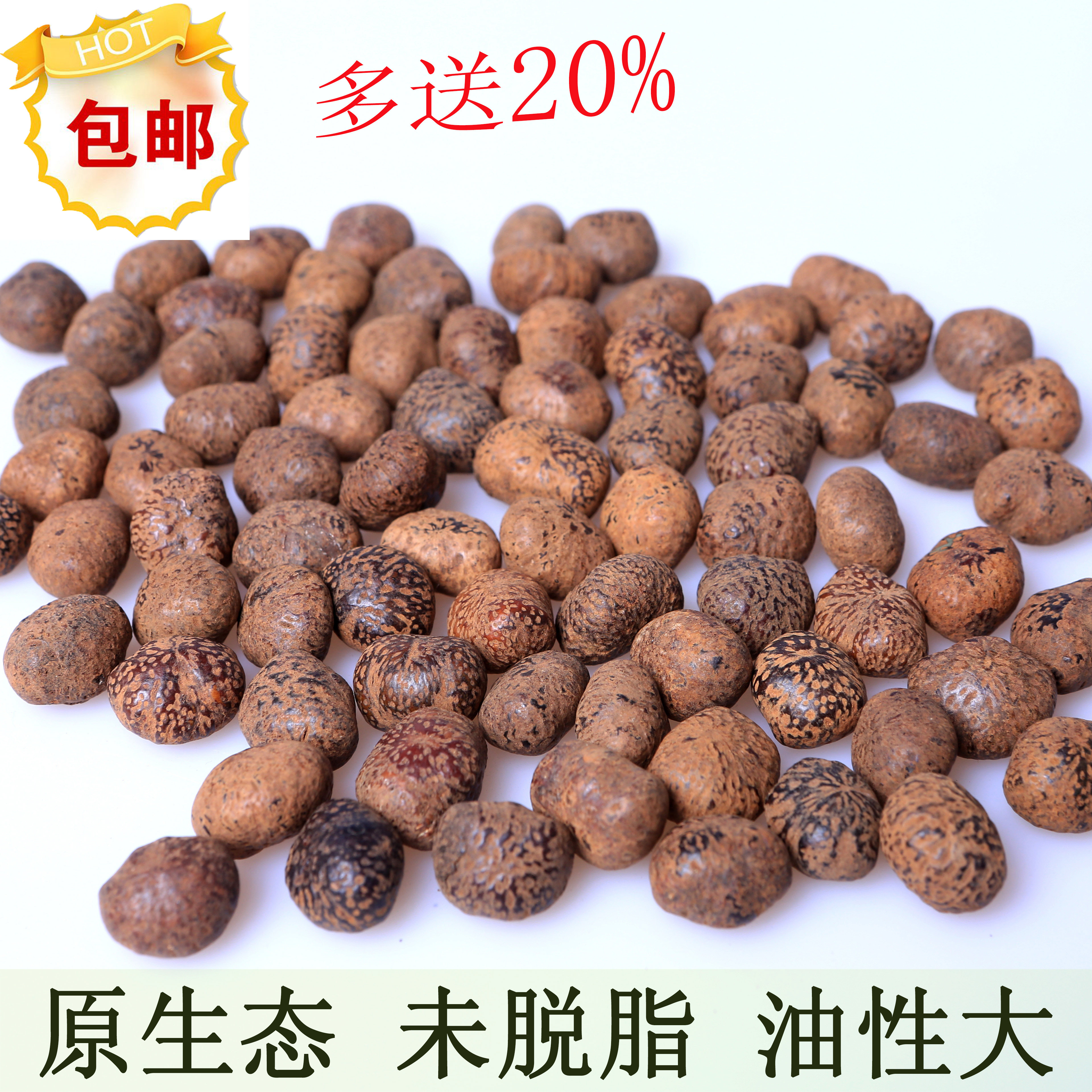 星月菩提子原籽 高密