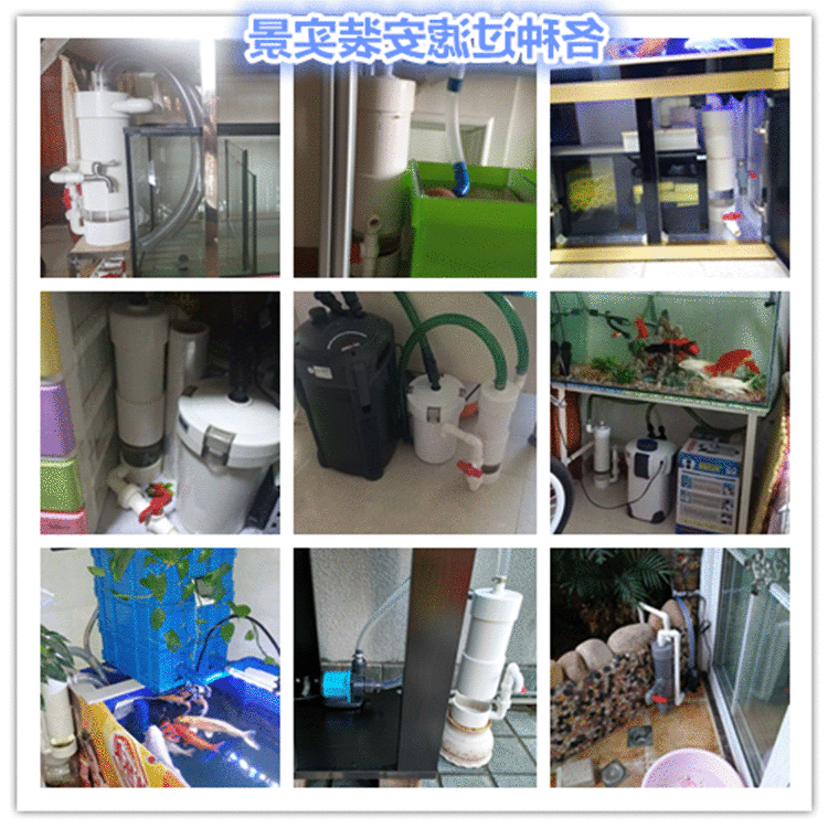 鱼便分离器