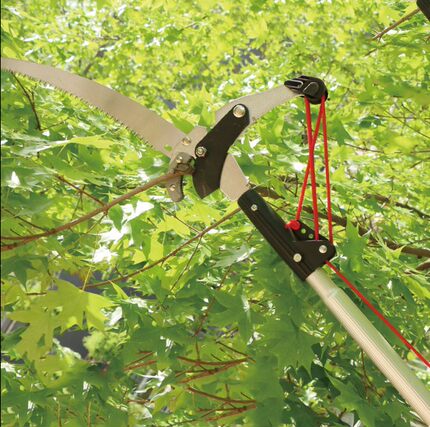 高枝剪伸缩园林工具修剪树枝剪刀修树锯园艺高空剪子粗枝剪果树剪_7折