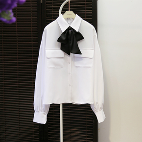 衬衫英文怎么说