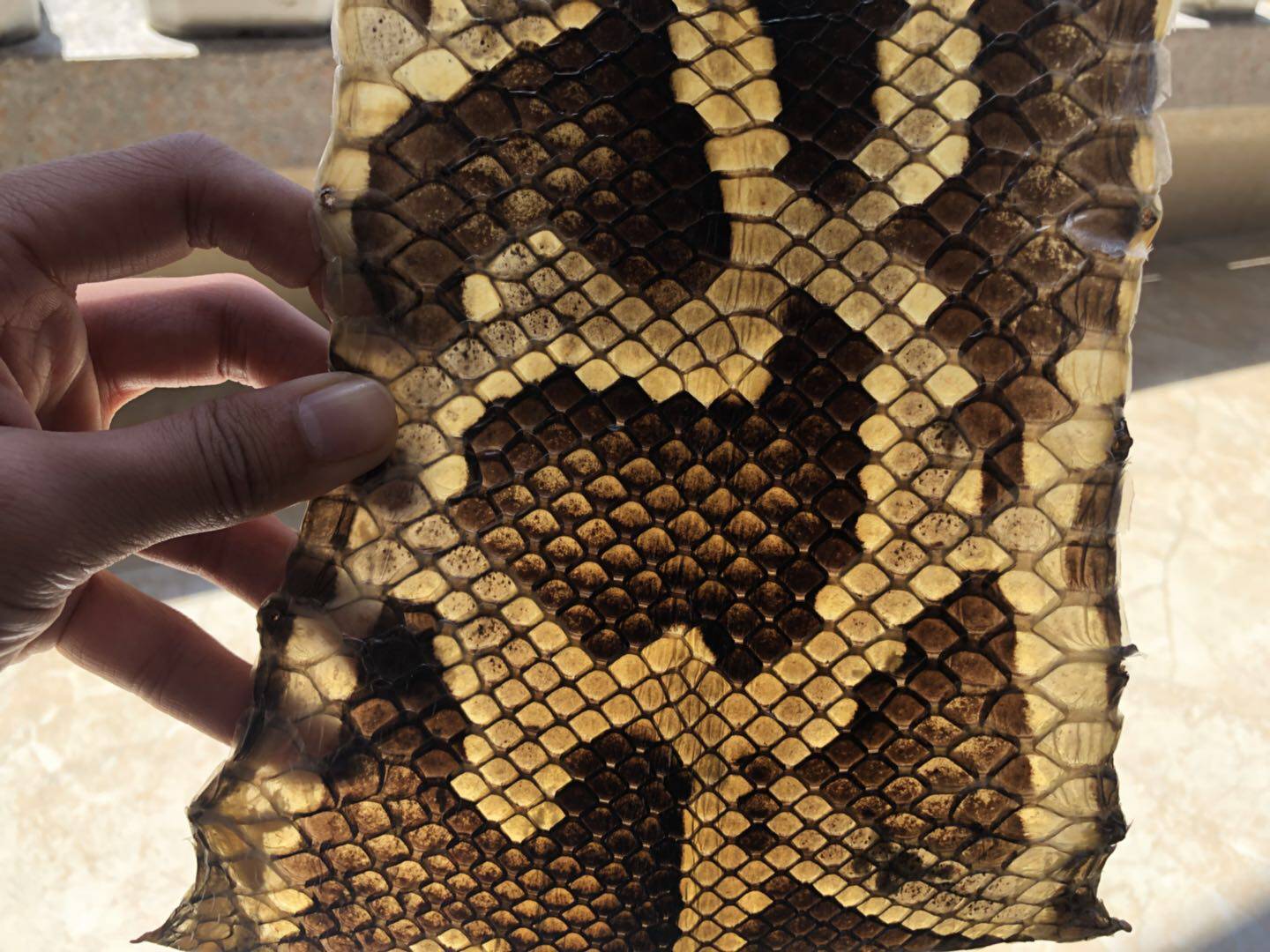 一折二胡乐器厂家直销