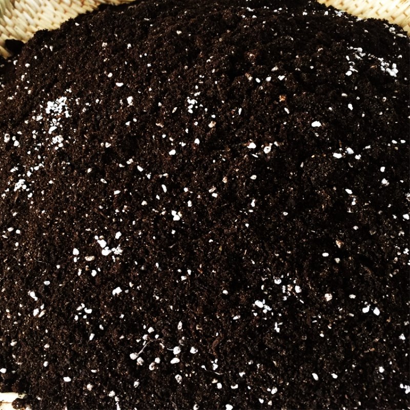 种花土_种花的花土育苗基质营养土大包 种 通用型养花30斤装优惠券