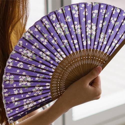 韩国正品ardium 经典复古花卉丝绸印花折扇 folding fan -3款选