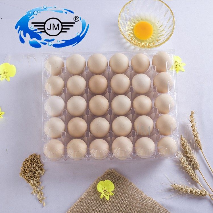 特价鸡蛋盒 包装盒