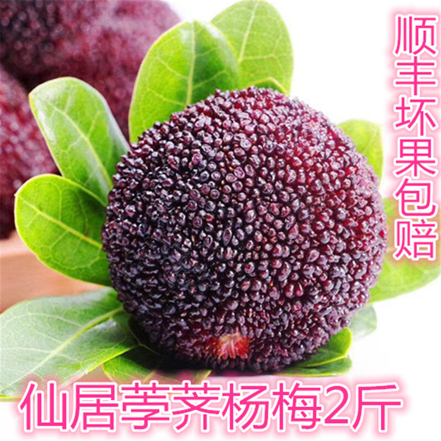 现货新鲜杨梅2斤装包邮漳州浮宫杨梅仙居慈溪东魁荸荠