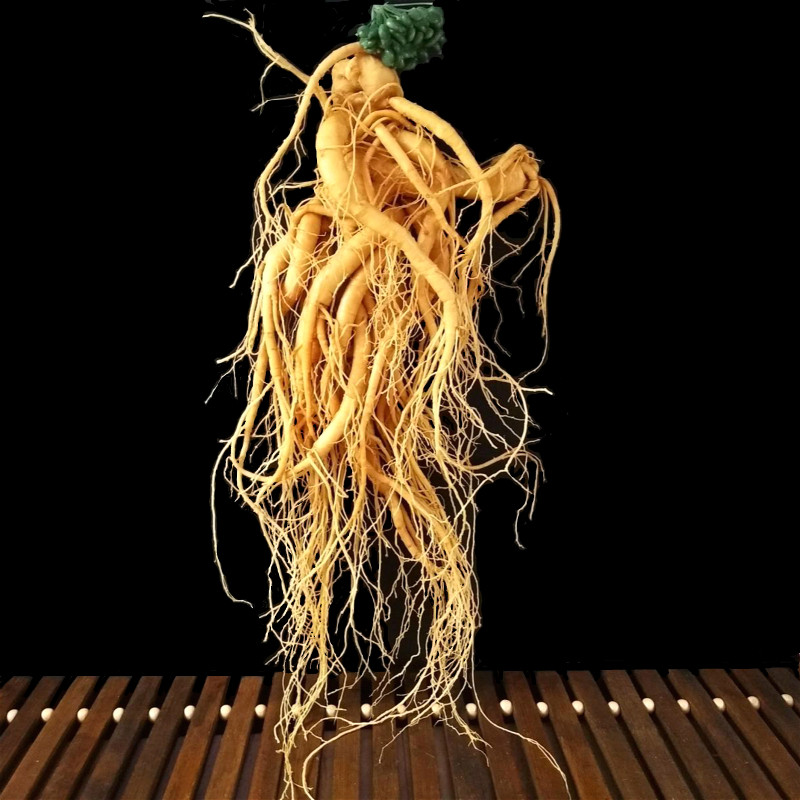 一折长白山人参_长白山人参大保鲜参毛重350克9年根抚松人参煲汤泡酒