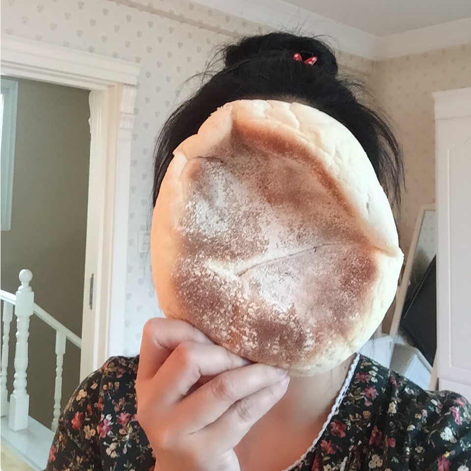 东北大饼新品|东北大饼价格|东北大饼包邮|品牌 – 淘宝海外