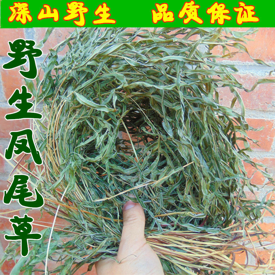 2017新货凤尾草 中药材大别山野生凤尾草 鸡爪草干货500g包邮