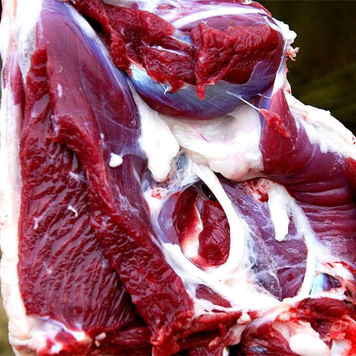 农家岩山羊肉笨羊肉羊腿羊排长毛山羊岩羊羊蝎子山羯羊不懂别点了