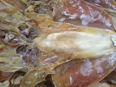 特级淡晒大墨鱼干目鱼海鲜海产品干货木鱼特产500g699元包邮