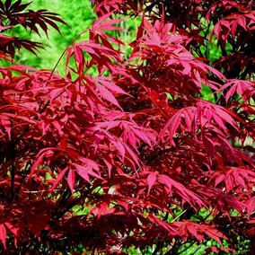 【吃鸡四人队名大全价格】2019最新吃鸡四人