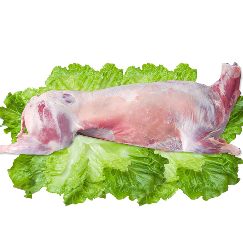 内蒙古全羊羔羊  羊肉新鲜羊排  蒙都羊腿整只羊白条