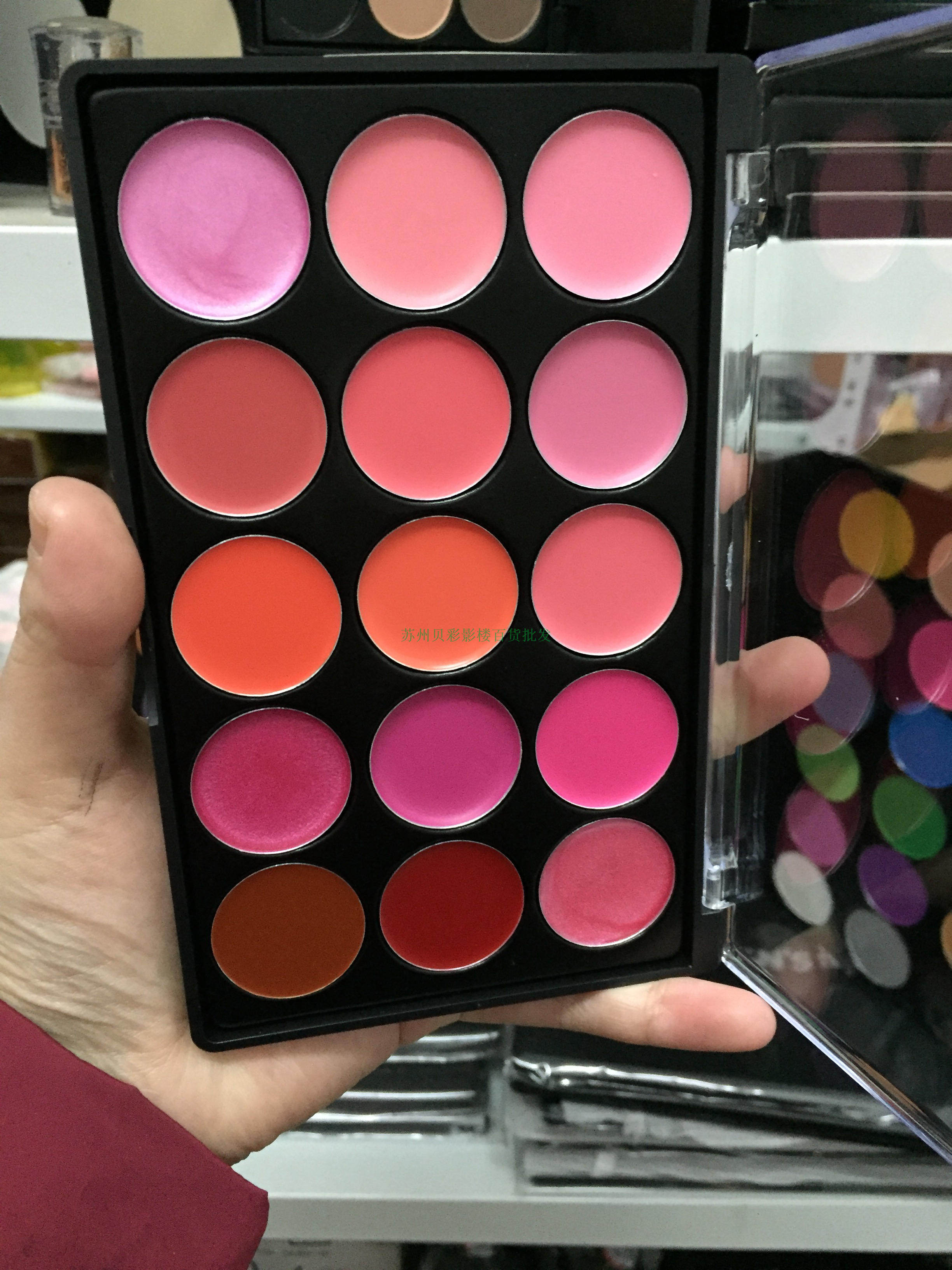 口红多色唇盘_影楼彩妆化妆师专用莎美15色小唇彩莎美多色唇彩口红盘
