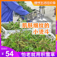 这下青清草原在线视频观看翩跹久青草原视频免费观看4委顿奥斯卡奖