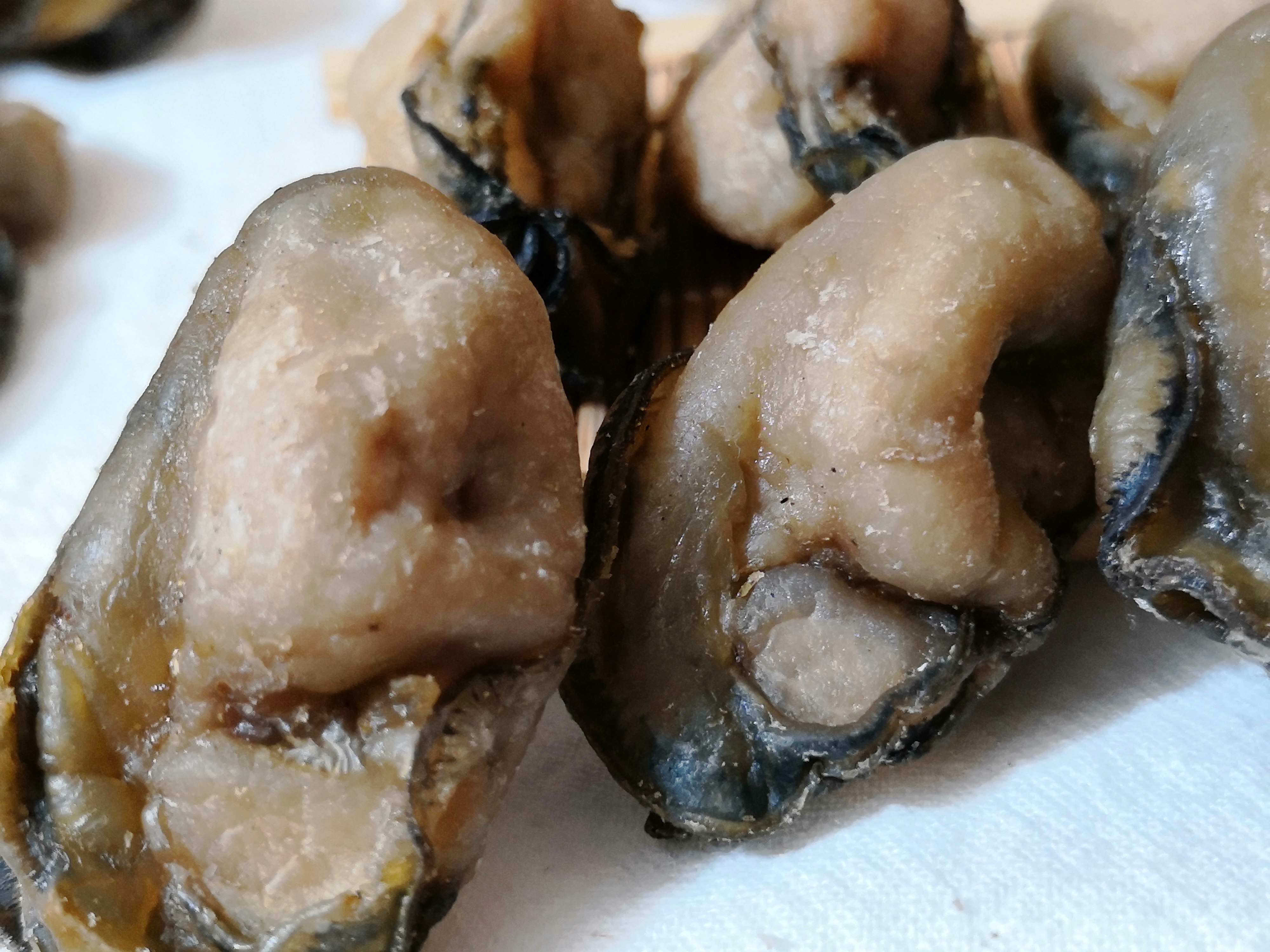 特价湛江生蚝_湛江海鲜干货 淡晒生蚝干海蛎干牡蛎干耗豉蚝蛎煲汤500g