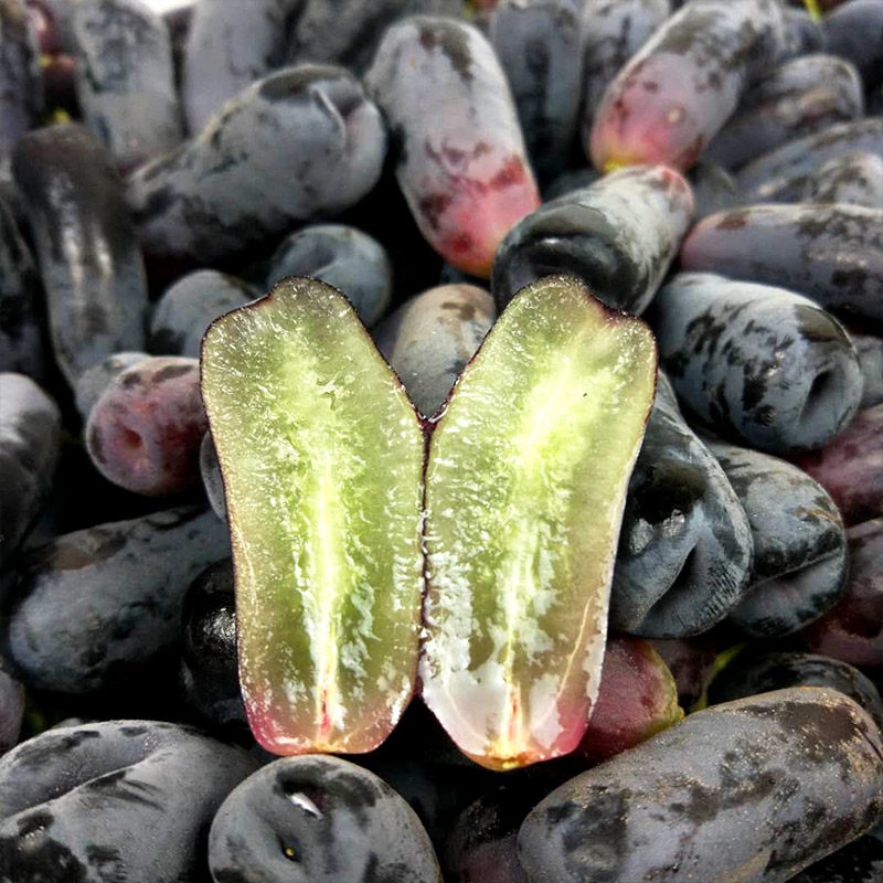 澳洲金手指无籽黑提2斤装澳大利亚进口葡萄孕妇新鲜水果包邮顺丰