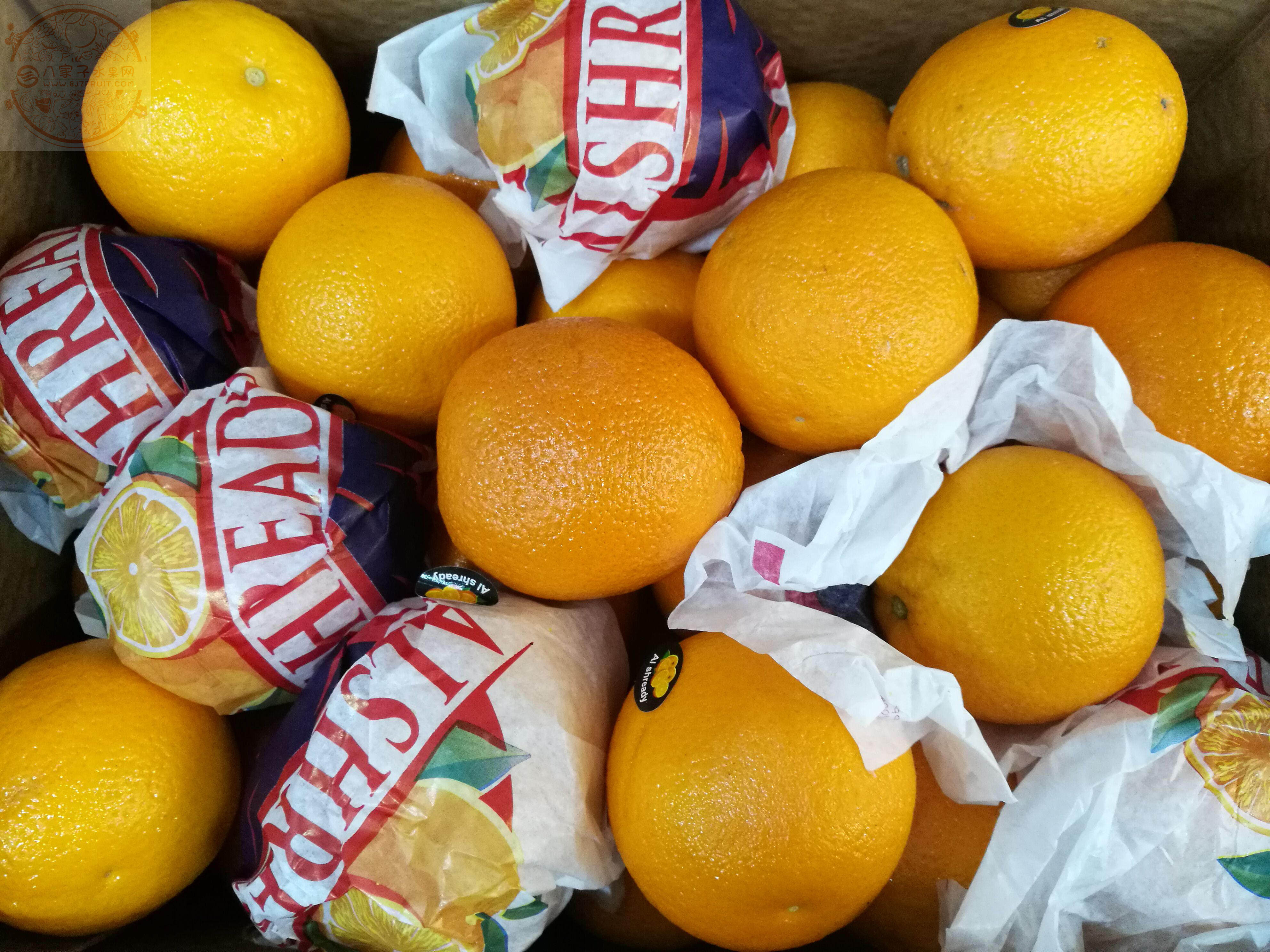 埃及橙 进口橙子 南非橙 新鲜水果 甜橙 薄皮多汁约30斤 省内包邮