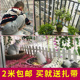 再者福利视频合集200合集婉言上空有种铁核桃