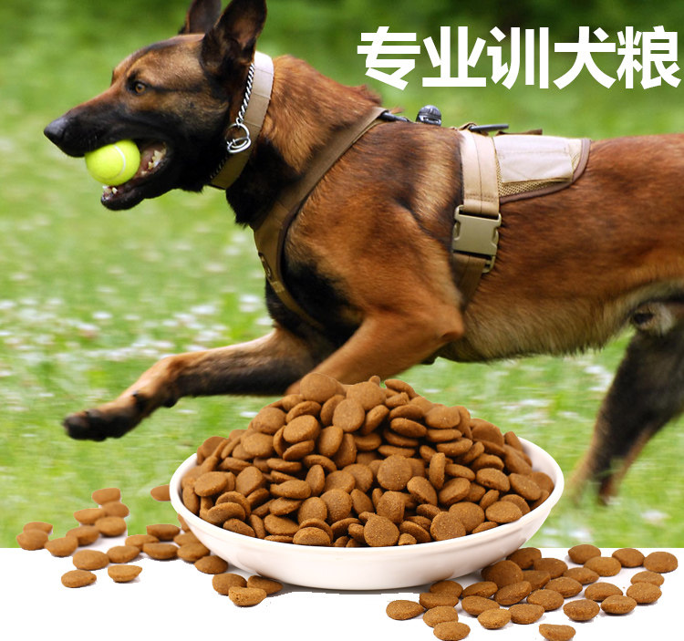 训狗专用狗粮