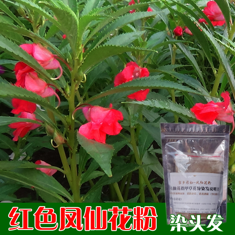 凤仙花粉染头发剂纯指甲草植物染发正品遮盖白发指甲花酒红色优惠券