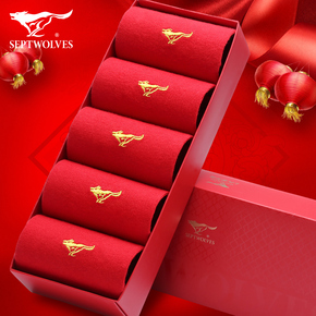 七匹狼男袜 06035