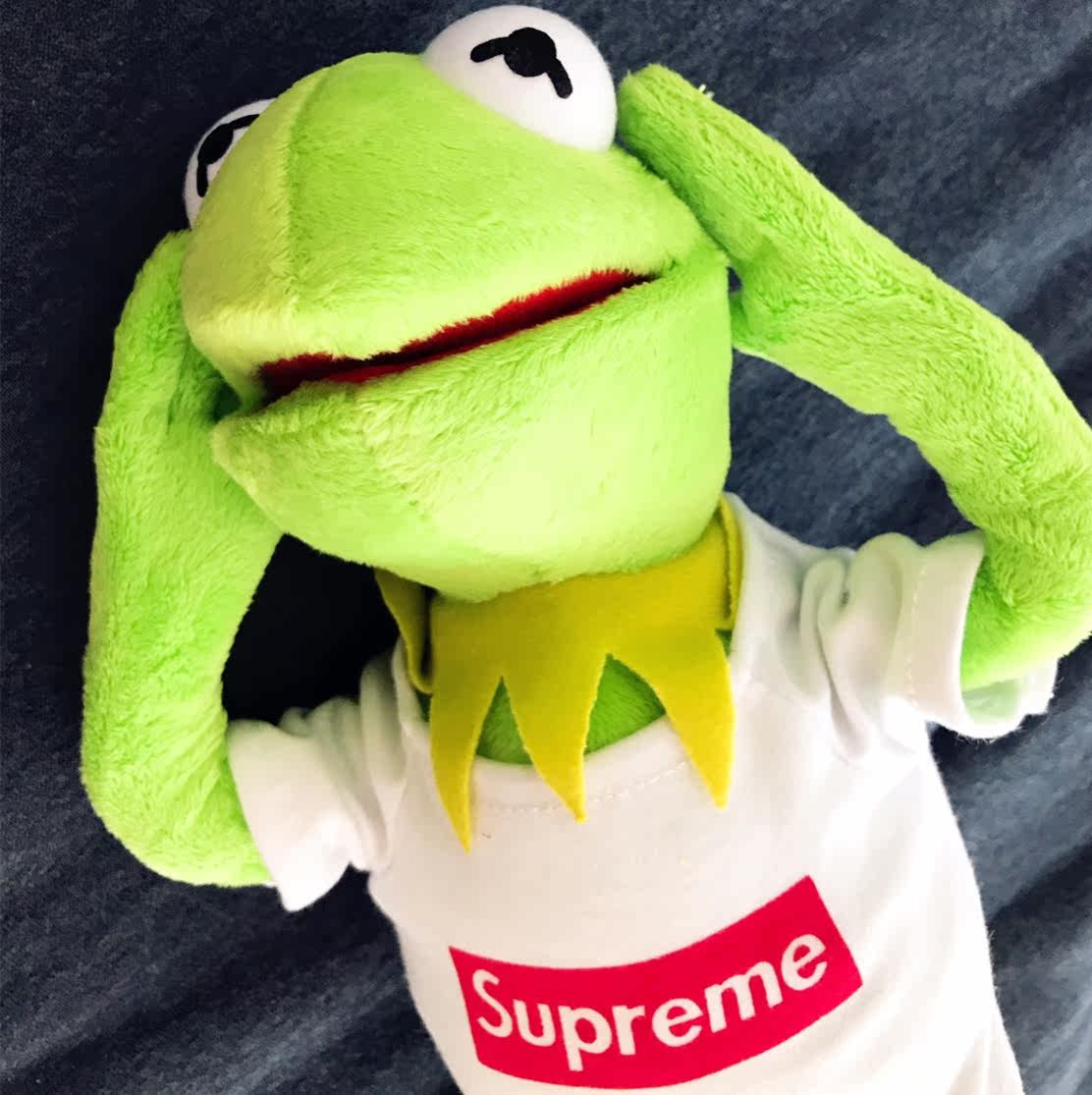 美国ty芝麻街superme科密特青蛙kermit玩偶ins潮流公仔玩具礼物