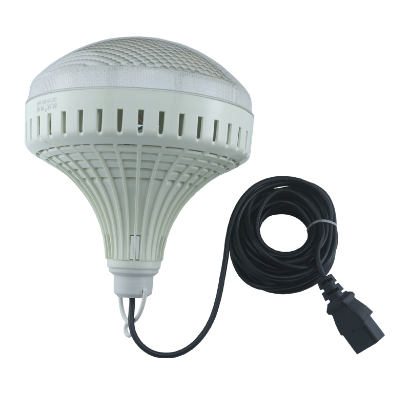 十二伏的led灯 12超亮3648直流12伏led灯泡低压电瓶灯地摊夜市