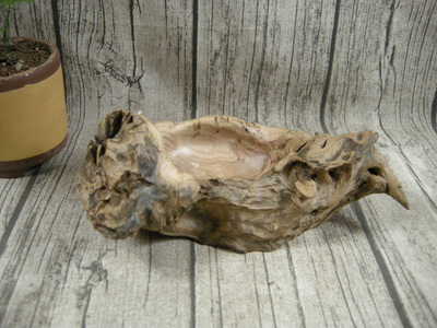 锥栗木实木工艺品创意饰品摆件根雕云南根艺树瘤自然随形烟灰缸