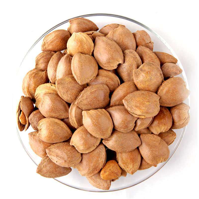 特产原味 杏仁坚果 散装1斤装开口杏核500g包邮低价促销 3斤包邮