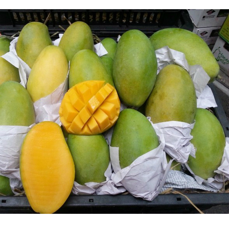 热销芒果 新鲜_泰国香芒青芒青皮芒果1斤深圳同城新鲜水果配送快至2-3