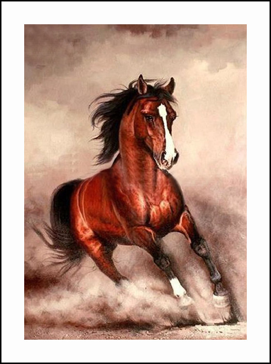 钻石画满钻新款 装饰