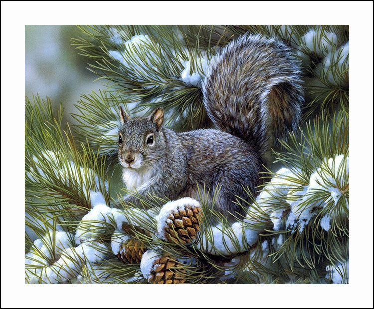 钻石画满钻新款 装饰_松树松鼠diy钻石画2018新款沙发背景装饰画壁画