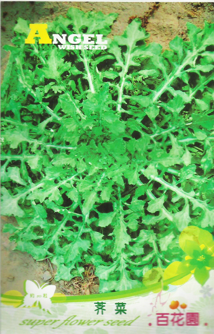 荠末_大叶荠菜种子 山野菜籽 有机保健蔬菜种子 荠