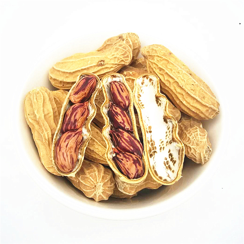 新七彩野地水果花生带壳500克