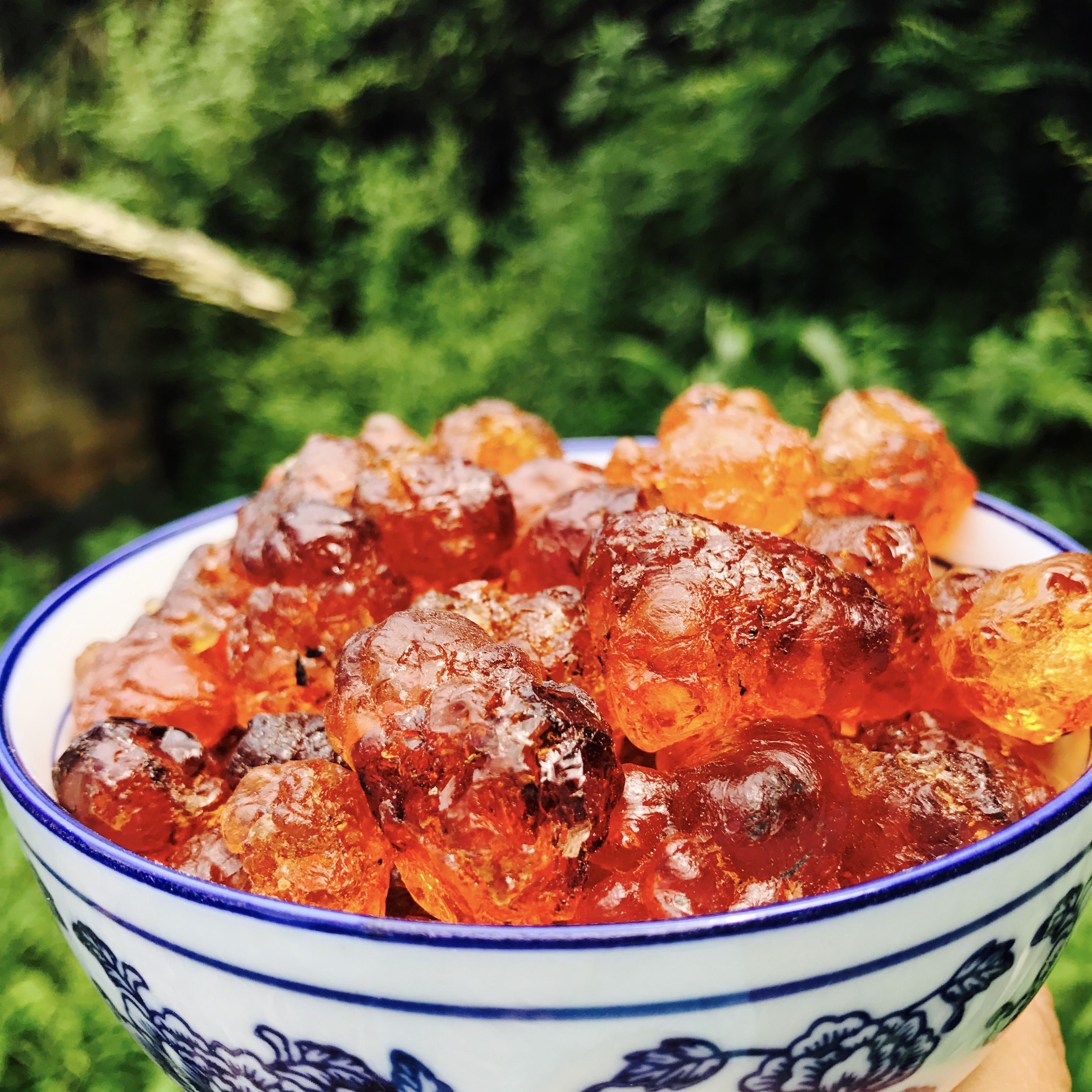 桃胶天然野生 食用桃胶皂角米