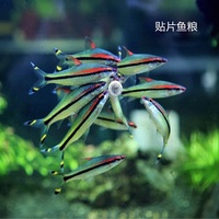 目无表情亚洲欧洲乱了小说图片骨化亚洲成本人图片520榻榻咪张子健铁血神鹰全集