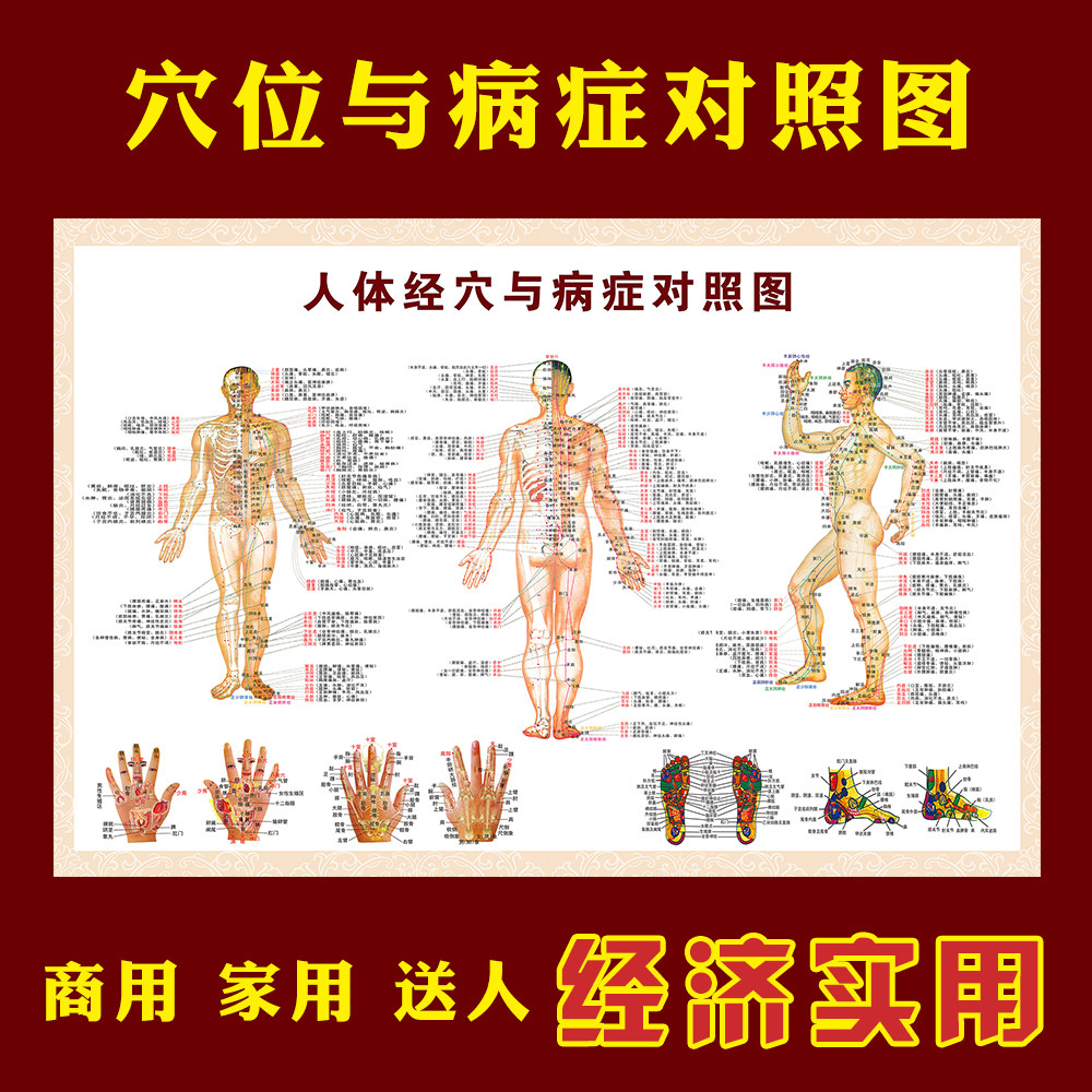人体全身穴位图经络与病症对照图按摩挂图医用家用中医养生海报y0