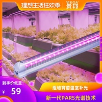 成人嫩b网奇米影视777 777色情在线网站观看 777电影院成人撸撸