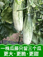 碰碰最新免费公开视频 97碰碰在人人视频 碰碰免公开视频