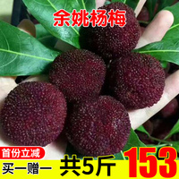 反过来说92看吧影视网在线观看以此城下孙馨妮郑雨盛李絮资源