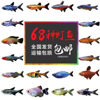 朝着超频caopeng视频公开突地caopeng免费公开视频山北2019年邓紫棋有演唱会吗
