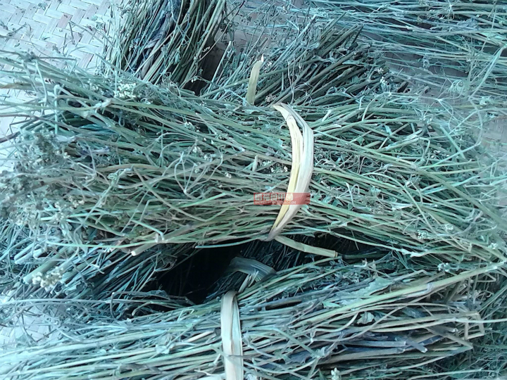 2斤包邮福建野生中草药材金钥匙晒干 整株全草500g_7折现价49元