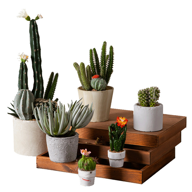 北欧清新仙人掌摆件