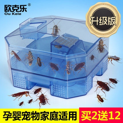 蟑螂捕捉器灭杀除蟑螂药屋强力灭蟑清厨房饭店蟑螂克星家用全窝端