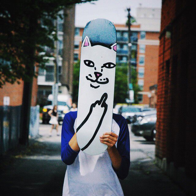 美国进口 ripndip 贱猫 中指猫 双翘板面 正品 多款板 送砂纸