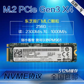 pci e固态硬盘