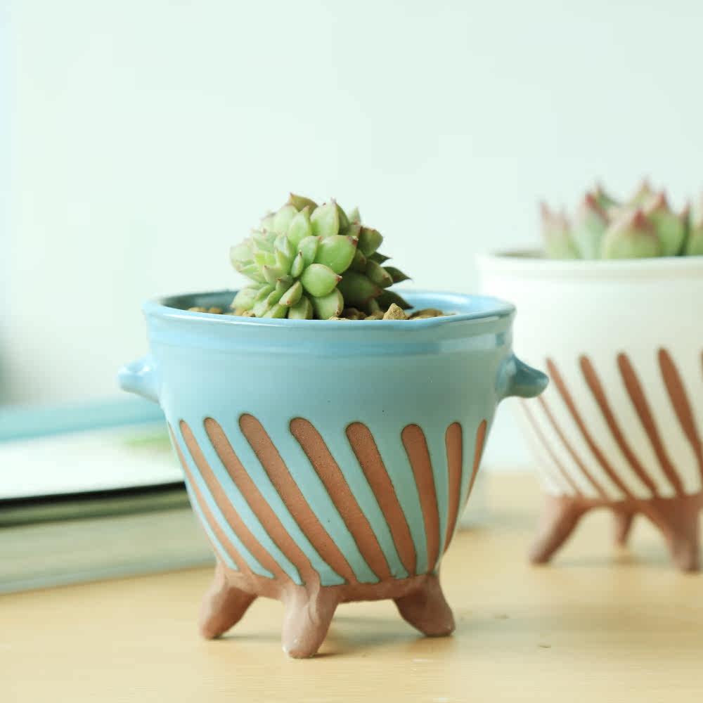多肉盆器 小清新