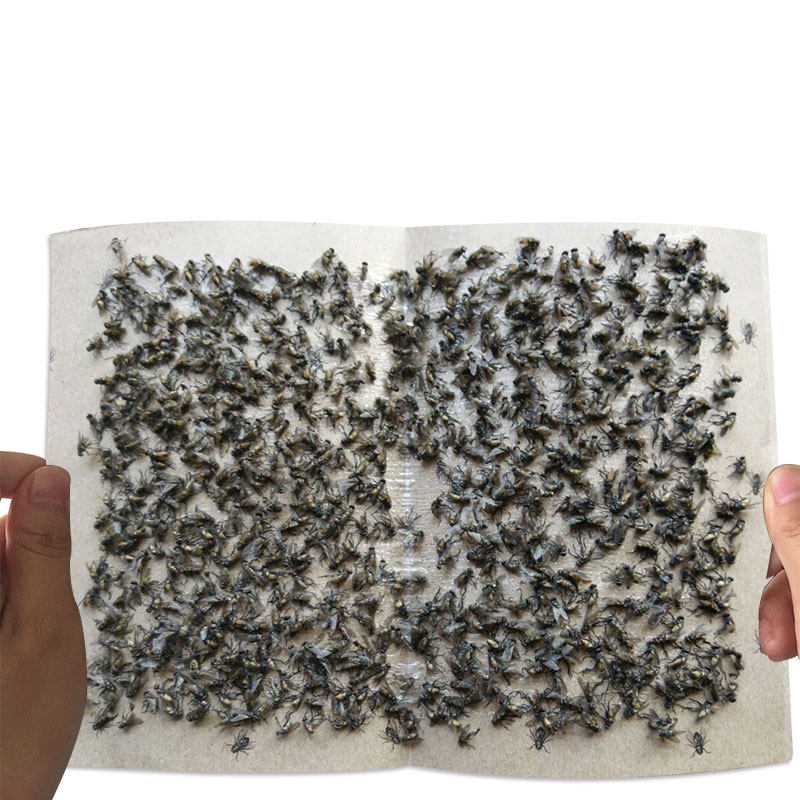 热销灭虫神器_粘蝇纸家用苍蝇贴强力粘蚊虫纸捕蝇器强力沾黏苍蝇胶笼