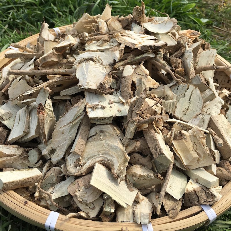 新鲜构骨根 500g 野生草猫儿刺根八角刺根八角茶枸骨根